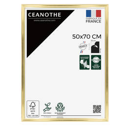 Cadre photo Julia doré 50x70 cm et 50x70 cm - Pour photo et poster A2 et Affiche Poster - Verre acrylique - Fabriqué en France - Ceanothe