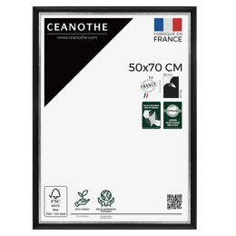 Cadre photo Pandore noir argent 50x70 cm et 50x70 cm - Pour photo et poster A2 et Affiche Poster - Verre acrylique - Fabriqué en France - Ceanothe