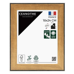 Cadre photo Loft noir 18x24 cm et 18x24 cm - Pour photo et poster A5 - Verre acrylique - Fabriqué en France - Ceanothe