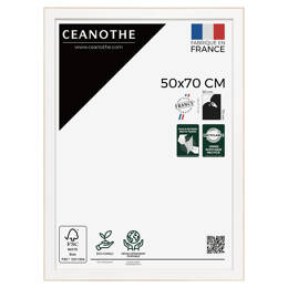 Cadre photo Newton brut 50x70 cm et 50x70 cm - Pour photo et poster A2 et Affiche Poster - Verre acrylique - Fabriqué en France - Ceanothe