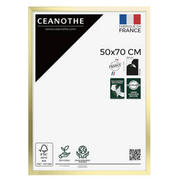 Cadre Photo Precious Doré 50x70 cm en résine recyclée avec Verre Acrylique – Cadre pour Photo, Affiche et Poster - Fabriqué en France - Ceanothe