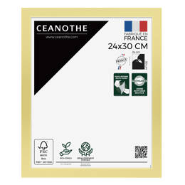 Cadre Photo Precious Doré 24X30 cm en résine recyclée avec Verre Acrylique – Cadre pour Photo, Affiche et Poster - Fabriqué en France - Ceanothe