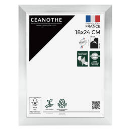 Cadre Photo Precious Acier 18x24 cm en résine recyclée avec Verre Acrylique – Cadre pour Photo, Affiche et Poster - Fabriqué en France - Ceanothe