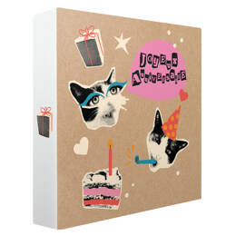 Album photos pochettes Cat 400 photos 11,5x15 cm - 80 pages pochettes s - 5 photos par page - Fabriqué en France - Ceanothe