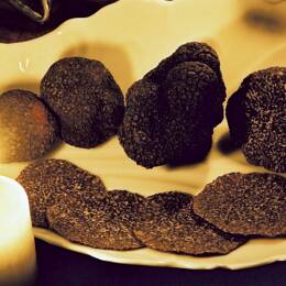 Truffe noire fraîche Tuber Melanosporum - 60g