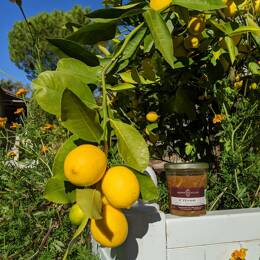 Citron
