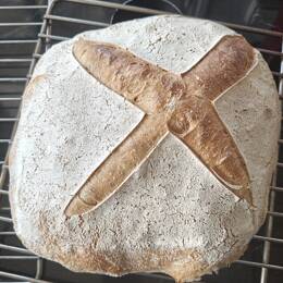 Pain bio au levain à la farine de blé truffier - 2 livres