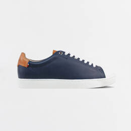 Abélia Bleu Marine