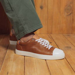Abélia Camel