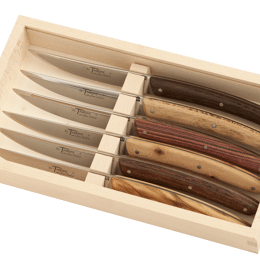 Coffret 6 couteaux Le Thiers manches bois mixés