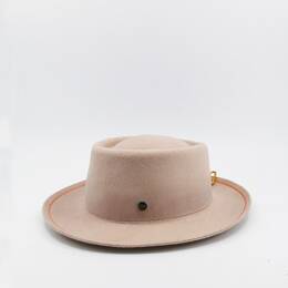 Traveller rose - Sacha