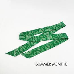 Ruban interchangeableSummer menthe