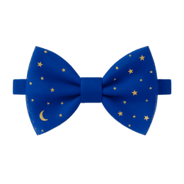 Noeud papillon bleu Nout