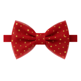 Noeud papillon rouge Nout