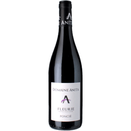 DOMAINE ANITA