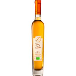 DOMAINE BADOZ