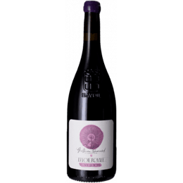 DOMAINE DU CÔTEAU DE TORMERY - GUILLAUME QUÉNARD