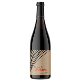 DOMAINE DU MÉTÉORE