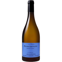 DOMAINE SYLVAIN PATAILLE