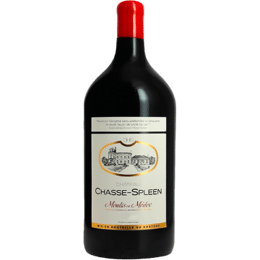 CHÂTEAU CHASSE-SPLEEN