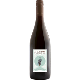 Marius Grenache Syrah 2025 by M. Chapoutier