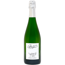 DOMAINE PLAGEOLES