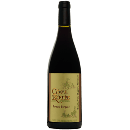 DOMAINE BURGAUD