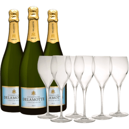 CHAMPAGNE DELAMOTTE