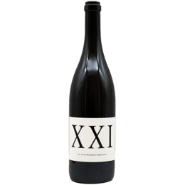 DOMAINE DIDIER DAGUENEAU