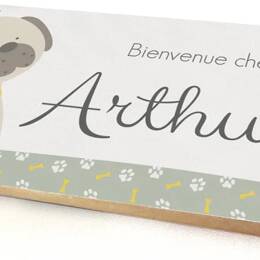 Plaque porte bebe online